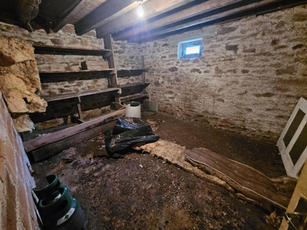 Maison sur sous-sol total avec locataire