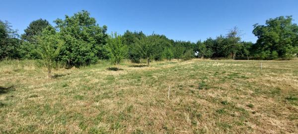 Beau terrain plat à bâtir de 8.6 ares à Dimbsthal