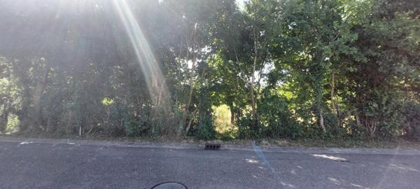 Beau terrain plat à bâtir de 8.6 ares à Dimbsthal