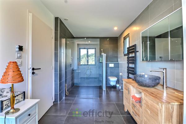 Maison 9 pièces - 250 m² Bien prestige