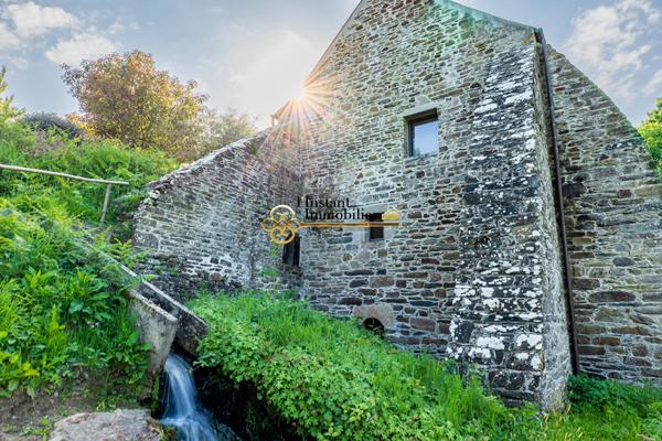 Moulin 7 pièce(s) 176 m2