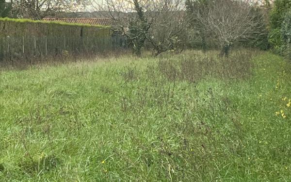 Terrain à vendre    Saint-Augustin