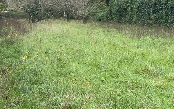 Terrain à vendre    Saint-Augustin