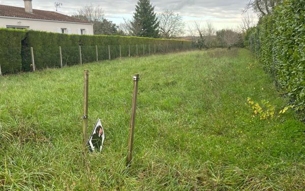 Terrain à vendre    Saint-Augustin