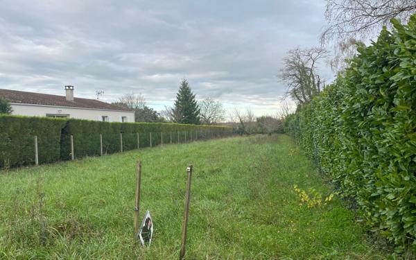 Terrain à vendre    Saint-Augustin