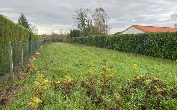 Terrain à vendre    Saint-Augustin