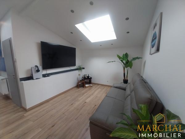 BIEN RARE ! Maison exceptionnelle avec hangar et local commercial