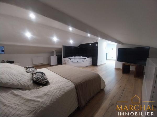 BIEN RARE ! Maison exceptionnelle avec hangar et local commercial