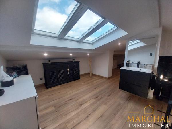 BIEN RARE ! Maison exceptionnelle avec hangar et local commercial