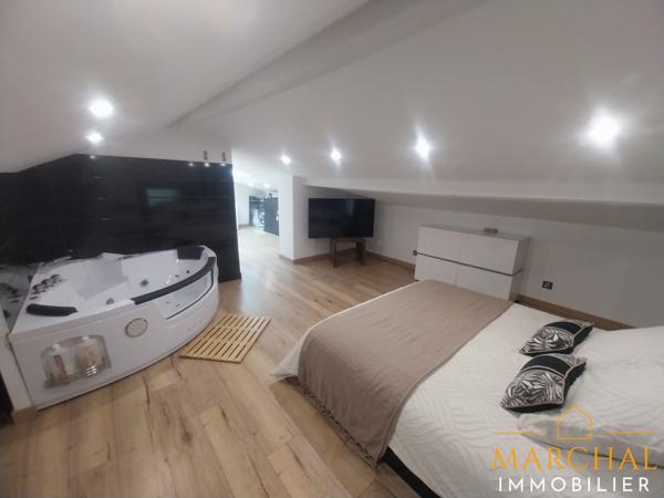 BIEN RARE ! Maison exceptionnelle avec hangar et local commercial