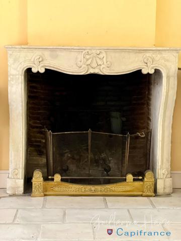 Propriété de caractère nichée au coeur d'un parc paysager à vendre NIHERNE (36)