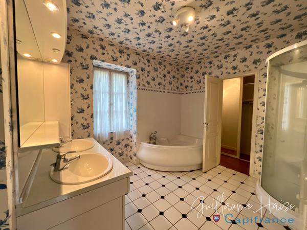 Propriété de caractère nichée au coeur d'un parc paysager à vendre NIHERNE (36)