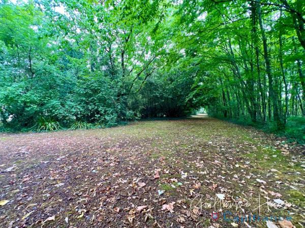 Propriété de caractère nichée au coeur d'un parc paysager à vendre NIHERNE (36)