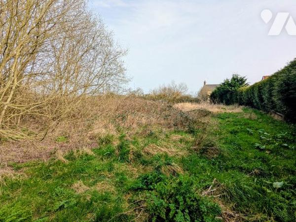 Terrain zone naturelle