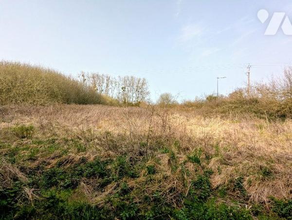 Terrain zone naturelle