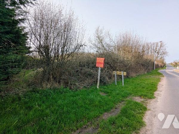 Terrain zone naturelle