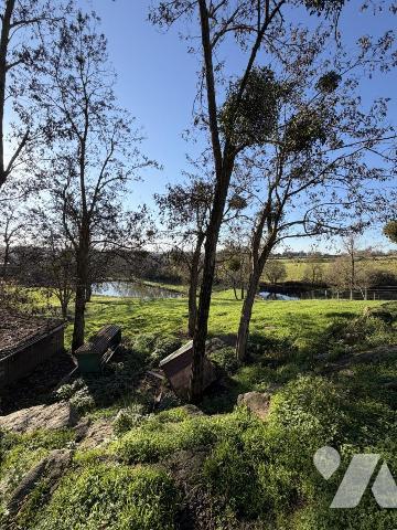 TERRAIN CONSTRUCTIBLE 1.000M² 