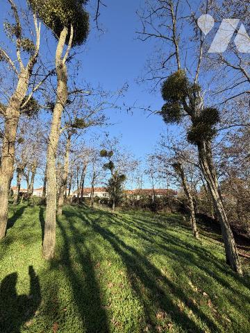 TERRAIN CONSTRUCTIBLE 1.000M² 