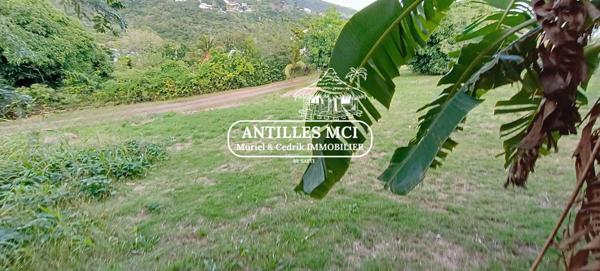 Superbe terrain au Diamant