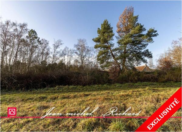 Terrain Billy 2640 m2