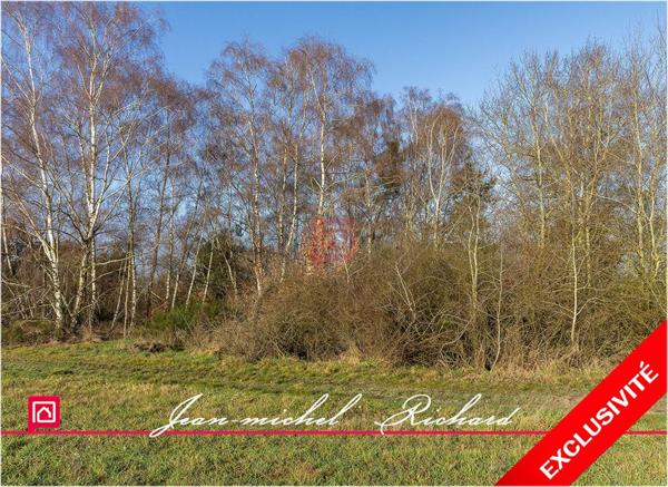 Terrain Billy 2640 m2