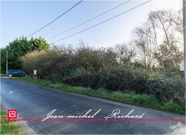 Terrain Billy 2640 m2