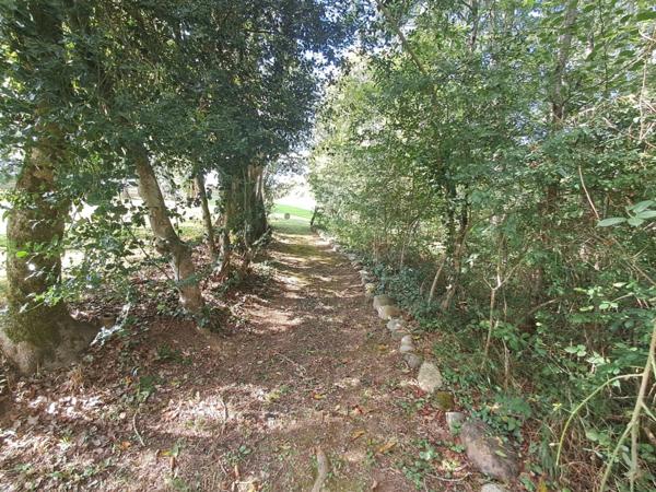 Maison de 249m2 de 1797 à SAINT PAUL (65)