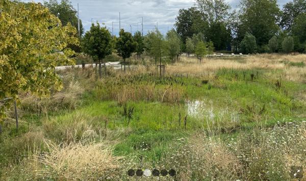 A ILLKIRCH GRAFFENSTADEN (67), 2 pièces au bord du canal