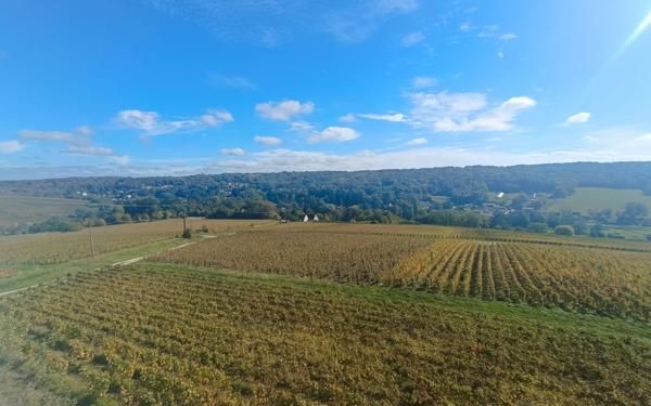 Maison à vendre    5 pièces •  Château-Thierry