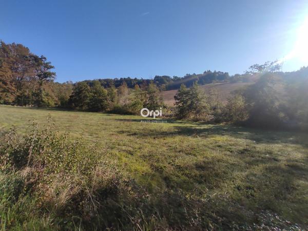 Terrain à vendre    Chantérac