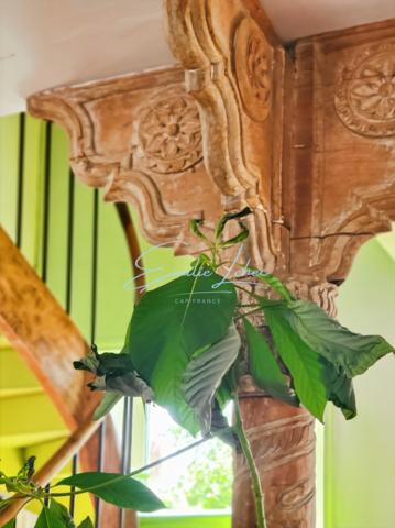 Riec sur Belon - Maison bourgeoise, 4 niveaux, centre bourg, jardin clos avec puits, près de 250m2! Unique!!