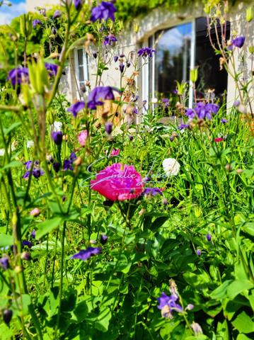 Riec sur Belon - Maison bourgeoise, 4 niveaux, centre bourg, jardin clos avec puits, près de 250m2! Unique!!