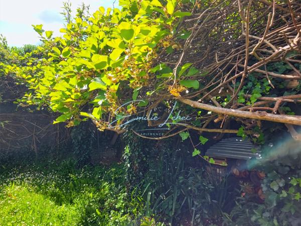 Riec sur Belon - Maison bourgeoise, 4 niveaux, centre bourg, jardin clos avec puits, près de 250m2! Unique!!