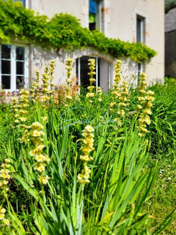 Riec sur Belon - Maison bourgeoise, 4 niveaux, centre bourg, jardin clos avec puits, près de 250m2! Unique!!