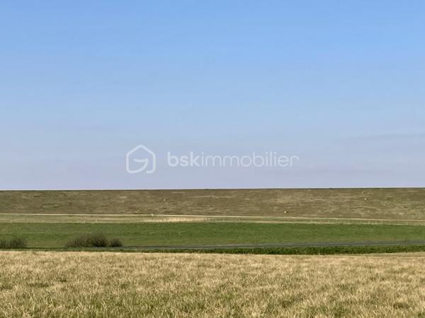 Terrain de 1 017 m²