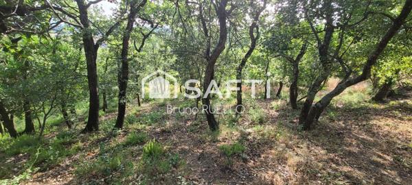 Terrain à Bâtir - Montesquieu-des-Albères (66740)