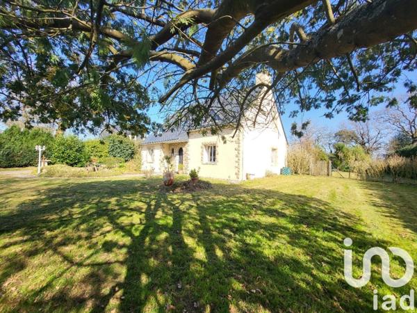 Maison de village 6 pièces de 139 m² à Péaule (56130)