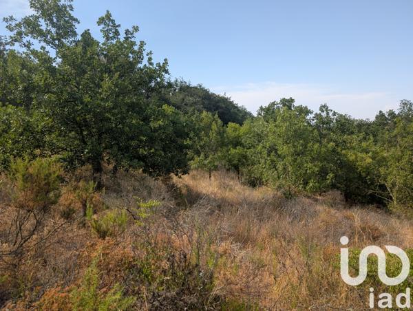 Terrain à vendre 6 500 m² Maureillas-las-Illas