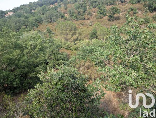 Terrain à vendre 6 500 m² Maureillas-las-Illas