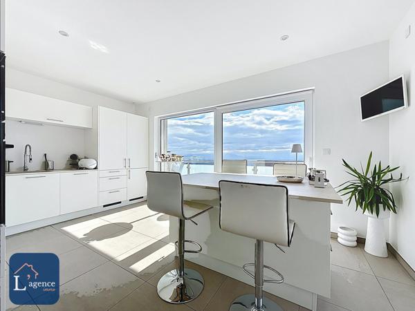 Maison Contemporaine 4 Suites Vue Panoramique Léman & Mont-Blanc Piscine Terrasse Jardin Double Garage Grilly 01220