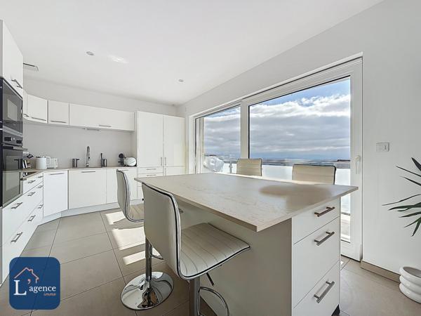 Maison Contemporaine 4 Suites Vue Panoramique Léman & Mont-Blanc Piscine Terrasse Jardin Double Garage Grilly 01220