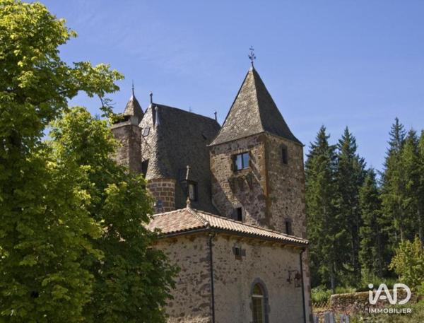 Maison à vendre 21 pièces 700 m² Saint-Georges