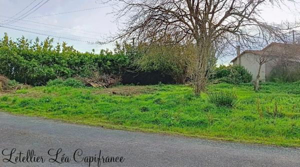 Maison à vendre 5 pièces - NEUVY BOUIN (79)