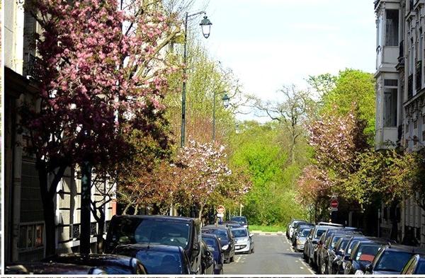 Appartement 3 pièces - 54 m²