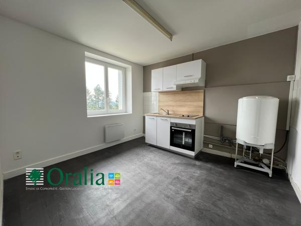 Appartement · Location Panissieres (42360) 2 pièces · 38m²