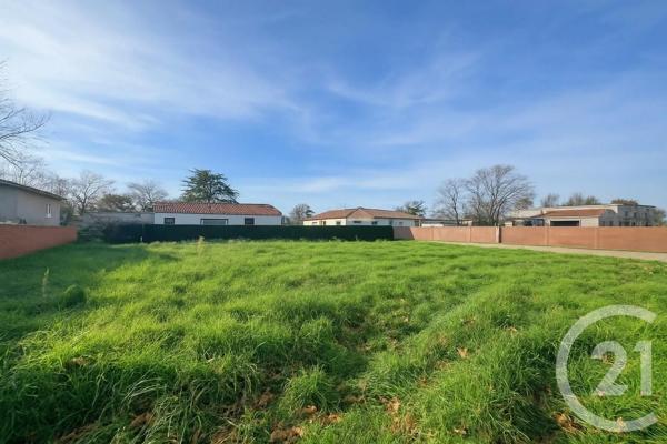 Terrain à vendre  700 m 2   GAILLAC  - 81