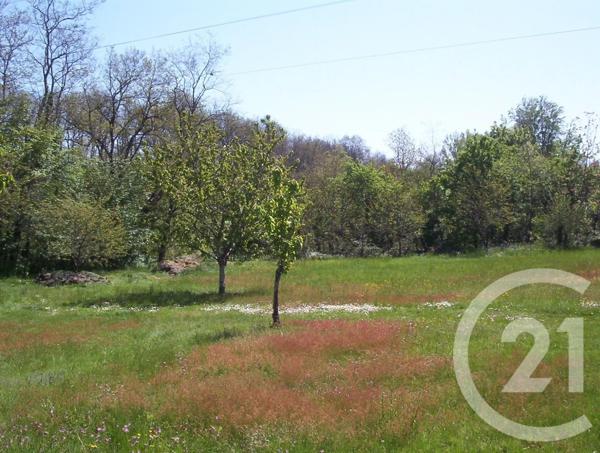 Terrain à vendre  700 m 2   GAILLAC  - 81