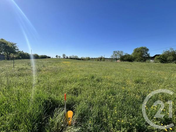 Terrain à vendre  700 m 2   GAILLAC  - 81