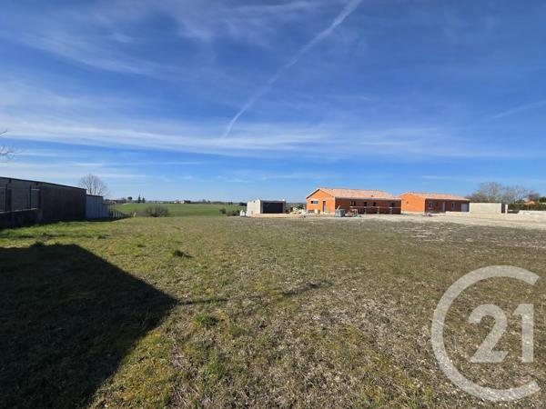Terrain à vendre  700 m 2   GAILLAC  - 81