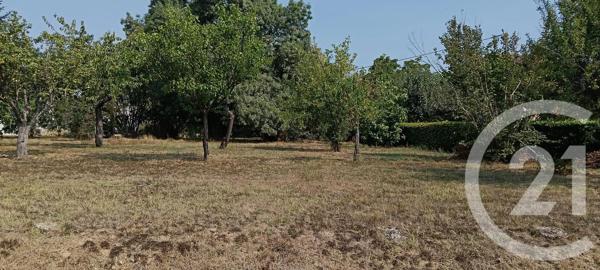 Terrain à vendre  700 m 2   GAILLAC  - 81